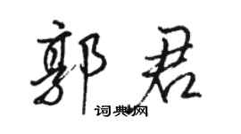 駱恆光郭君行書個性簽名怎么寫