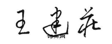 駱恆光王建莊草書個性簽名怎么寫