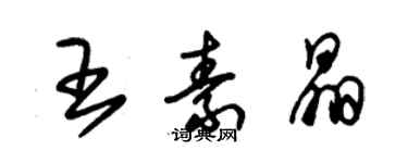 朱錫榮王素晶草書個性簽名怎么寫