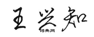 駱恆光王興知行書個性簽名怎么寫