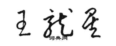 駱恆光王龍星草書個性簽名怎么寫