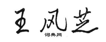 駱恆光王風芝行書個性簽名怎么寫