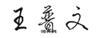 駱恆光王普文行書個性簽名怎么寫