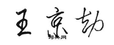 駱恆光王京劫行書個性簽名怎么寫