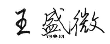 駱恆光王盛微行書個性簽名怎么寫