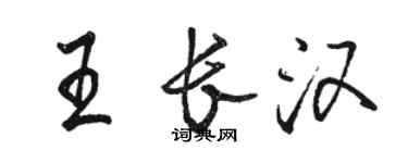 駱恆光王長漢行書個性簽名怎么寫