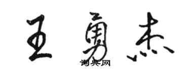 駱恆光王勇傑行書個性簽名怎么寫