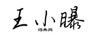 王正良王小曝行書個性簽名怎么寫