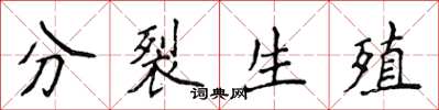 侯登峰分裂生殖楷書怎么寫