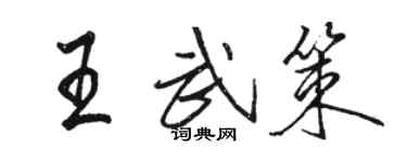 駱恆光王武策行書個性簽名怎么寫