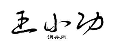 曾慶福王小功草書個性簽名怎么寫