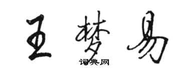 駱恆光王夢易行書個性簽名怎么寫