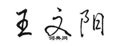 駱恆光王文陽行書個性簽名怎么寫