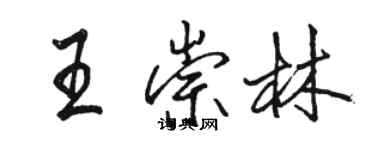 駱恆光王崇林行書個性簽名怎么寫