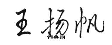 駱恆光王揚帆行書個性簽名怎么寫