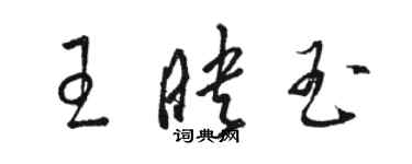 駱恆光王映玉草書個性簽名怎么寫