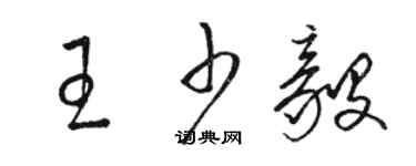 駱恆光王少毅草書個性簽名怎么寫