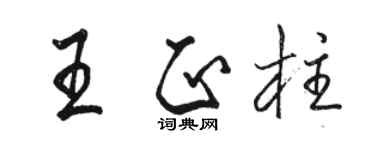 駱恆光王正柱行書個性簽名怎么寫