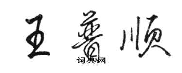 駱恆光王普順行書個性簽名怎么寫