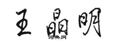 駱恆光王晶明行書個性簽名怎么寫