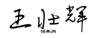 曾慶福王壯輝草書個性簽名怎么寫