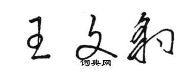 駱恆光王文豹草書個性簽名怎么寫