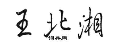 駱恆光王北湘行書個性簽名怎么寫