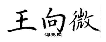 丁謙王向微楷書個性簽名怎么寫