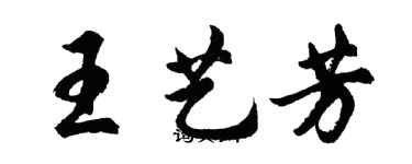 胡問遂王藝芳行書個性簽名怎么寫