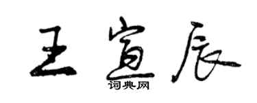 曾慶福王宣辰行書個性簽名怎么寫