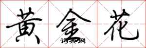 荊霄鵬黃金花行書怎么寫