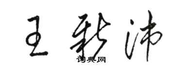 駱恆光王新沛草書個性簽名怎么寫