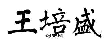 翁闓運王培盛楷書個性簽名怎么寫