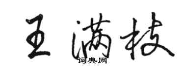 駱恆光王滿枝行書個性簽名怎么寫