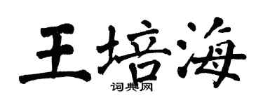 翁闓運王培海楷書個性簽名怎么寫