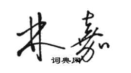 駱恆光林嘉草書個性簽名怎么寫