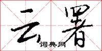 雲實的意思_雲實的解釋_國語詞典