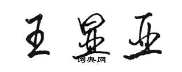 駱恆光王顯亞行書個性簽名怎么寫