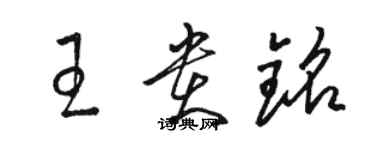 駱恆光王貴銘草書個性簽名怎么寫