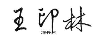 駱恆光王印林行書個性簽名怎么寫