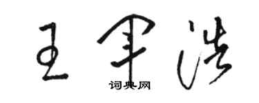 駱恆光王軍浩草書個性簽名怎么寫