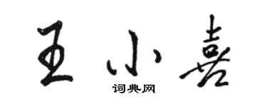 駱恆光王小喜行書個性簽名怎么寫