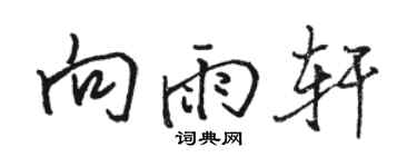 駱恆光向雨軒行書個性簽名怎么寫