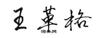 駱恆光王革格行書個性簽名怎么寫