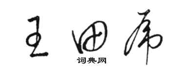 駱恆光王田虎草書個性簽名怎么寫