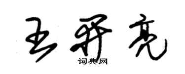 朱錫榮王開亮草書個性簽名怎么寫