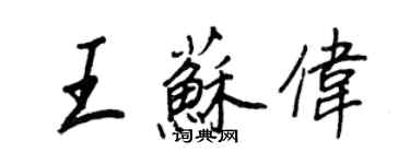 王正良王蘇偉行書個性簽名怎么寫