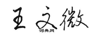 駱恆光王文微行書個性簽名怎么寫