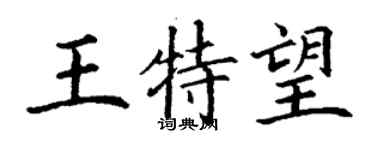 丁謙王特望楷書個性簽名怎么寫