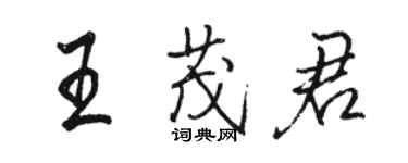 駱恆光王茂君行書個性簽名怎么寫